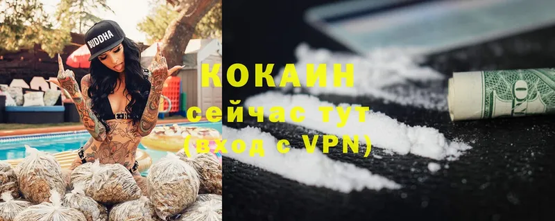 где найти   Уяр  Cocaine VHQ 