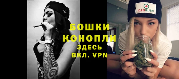 прущая мука Няндома