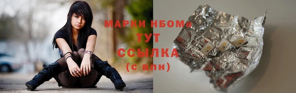 стаф Болхов