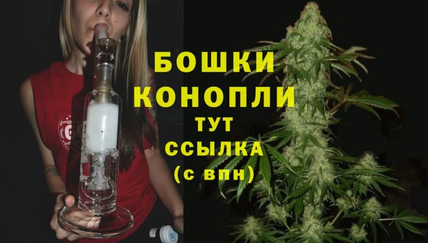прущая мука Няндома